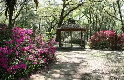 Peggy O’Neil Basham Nature Park