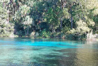 florida-black-bear-scenic-byway-alexander-springs-shallows-and-vent-area